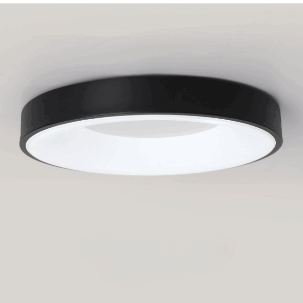 Wisdoya Round Shape Ceiling Light