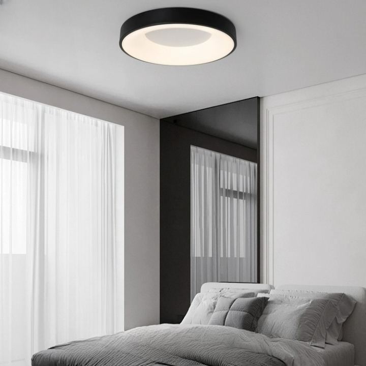 Wisdoya Round Shape Ceiling Light