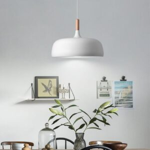 Norvik Scandinavian Lid-Shade Pendant Light