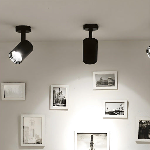 Arlo Accent Spotlight