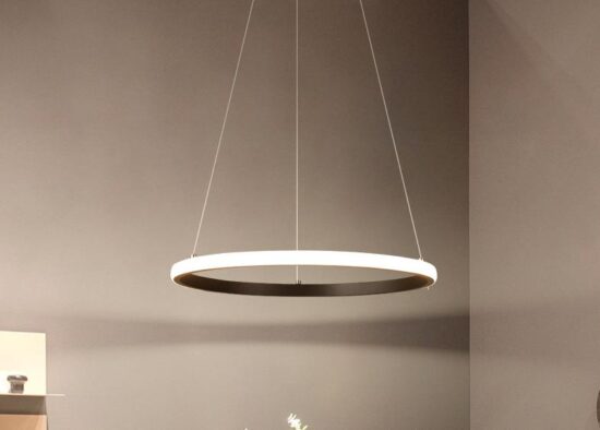 Lanuka Modern Minimalist Round Ring Pendant Lamp