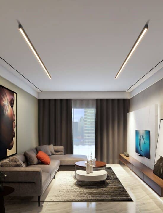 Reetahnna Slim Rectangular Linear Ceiling Lamp – Lightingshop