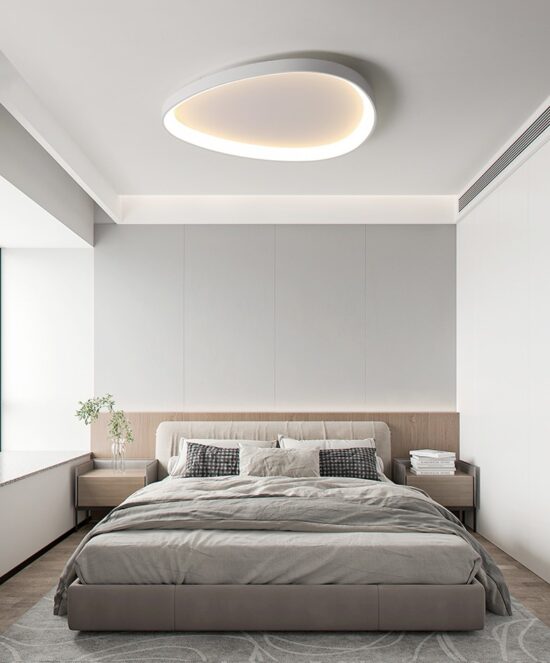 Wisdomegg Irregular Shape Ceiling Lamp