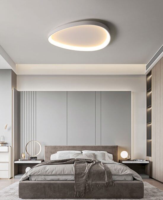 Wisdomegg Irregular Shape Ceiling Lamp