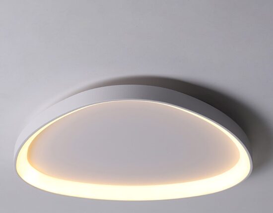 Wisdomegg Irregular Shape Ceiling Lamp