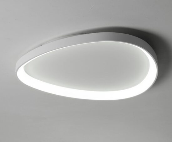 Wisdomegg Irregular Shape Ceiling Lamp