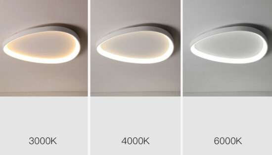 Wisdomegg Irregular Shape Ceiling Lamp