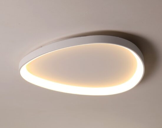 Wisdomegg Irregular Shape Ceiling Lamp