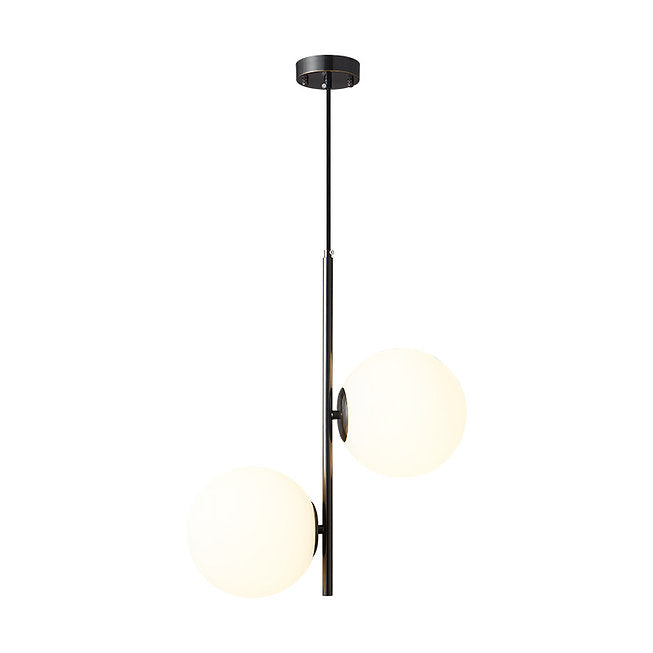 LED Dual-light Modern Decorative Pendant Light