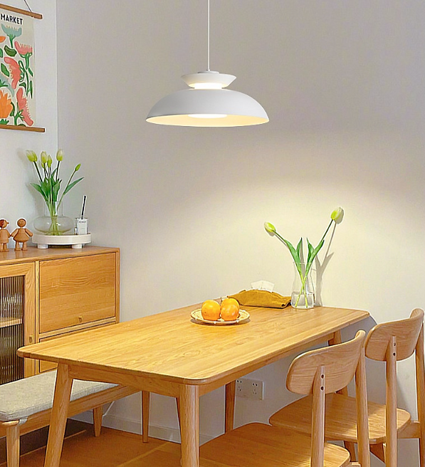 LED Modern Simple White Pendant Light