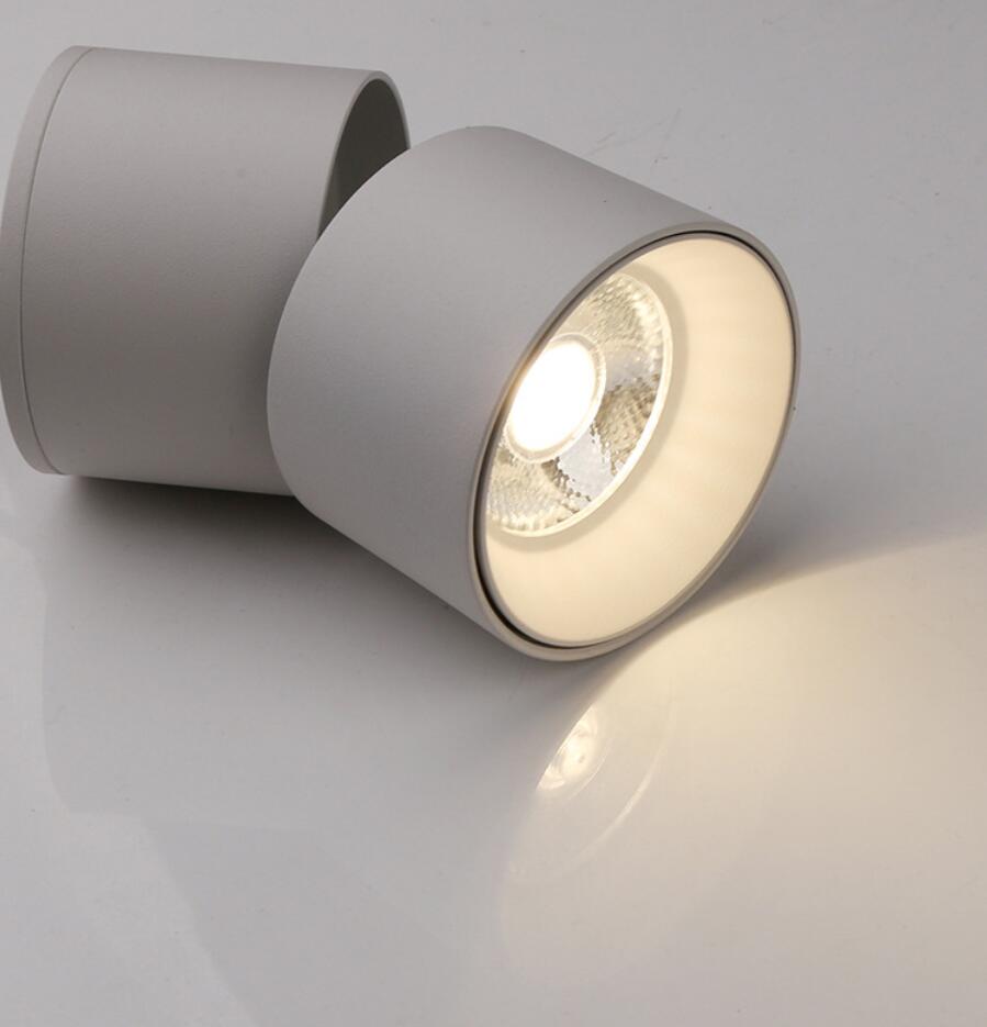 Smart Dimmable LED Downlight L07