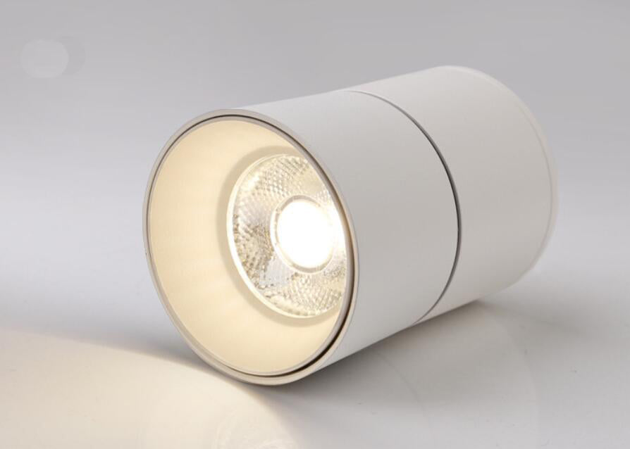 Smart Dimmable LED Downlight L07