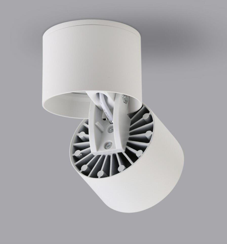 Smart Dimmable LED Downlight L07