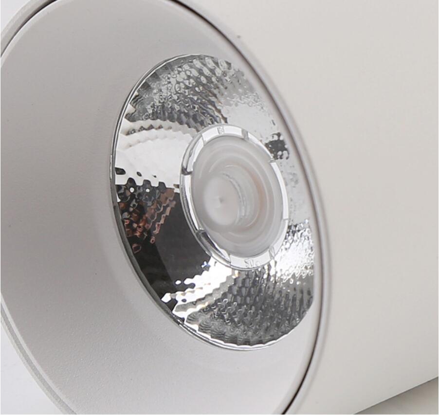 Smart Dimmable LED Downlight L07