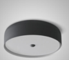 CAPELLA Contemporary LED Ceiling Light (Pre-order) - Catalogue.com.sg