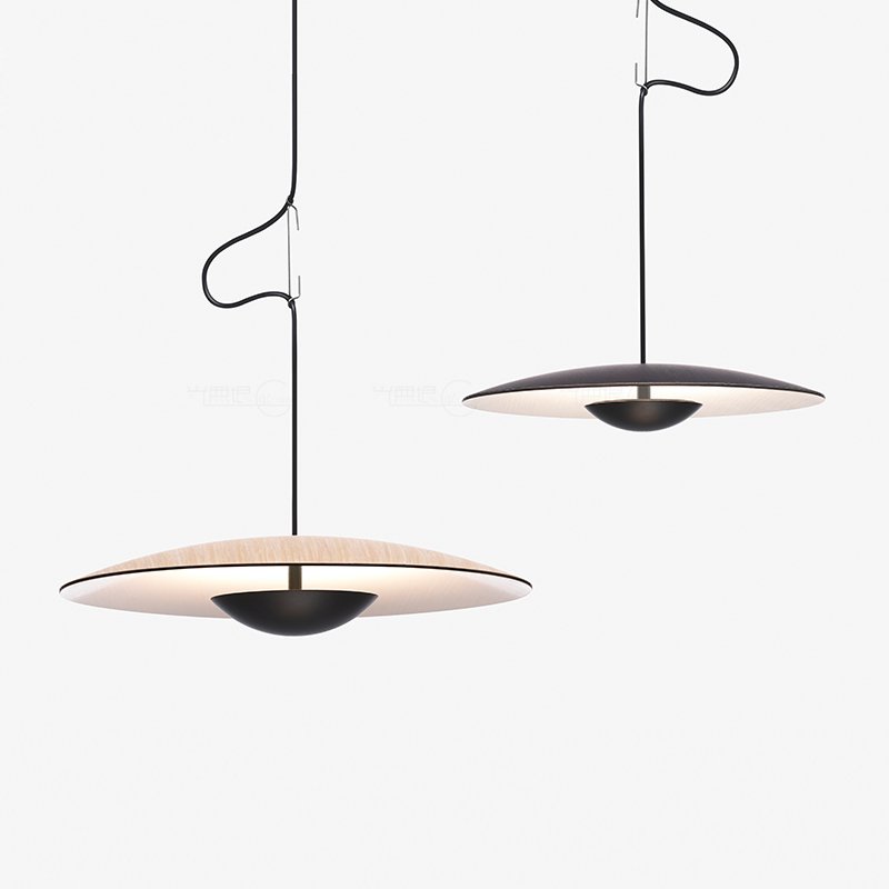 Carlyle UFO Disc Pendant Lamp