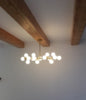 DE LUMINOUS Chandelier Pendant Light (Pre-order) - Catalogue.com.sg