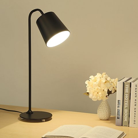 Allan Industrial Chic Eye-Catching Desk Reading Lamp