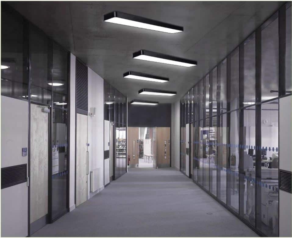 GÖRAN Smooth Edge Case Minimalist Ceiling Light