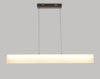 GREGER Slim Case Pendant Light (Pre-order) - Catalogue.com.sg