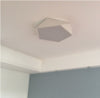 LEXA Geometric LED Ceiling Light in White (42cm) with Safety Mark LED Driver - Catalogue.com.sg