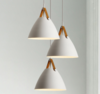 MONDENA Modern Pendant Light (Pre-order) - Catalogue.com.sg