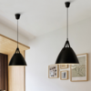 MONDENA Modern Pendant Light (Pre-order) - Catalogue.com.sg