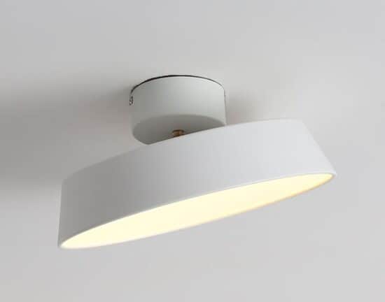 Yarulin Modern Minimalist Adjustable Ceiling Lamp