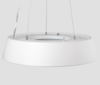 ORELLA Classic Ring LED Pendant Light (Pre-order) - Catalogue.com.sg