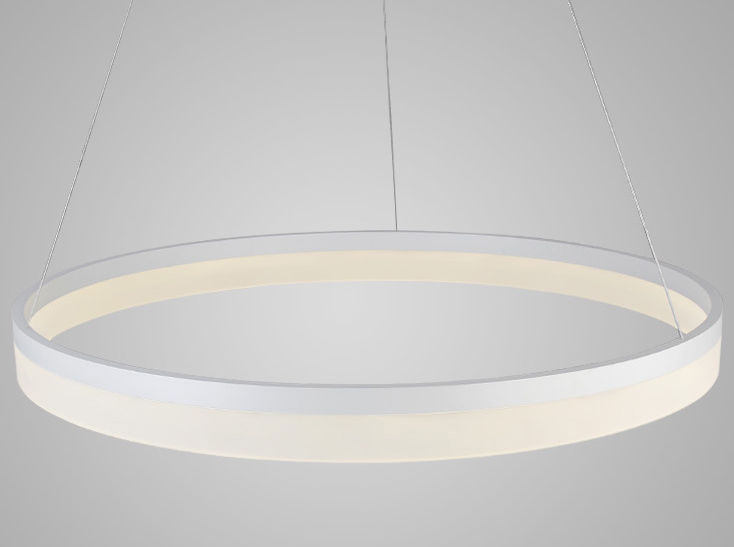 Olaug Modern Large Single Circle Ring Ceiling Light