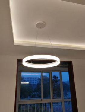 Olaug Modern Large Single Circle Ring Ceiling Light