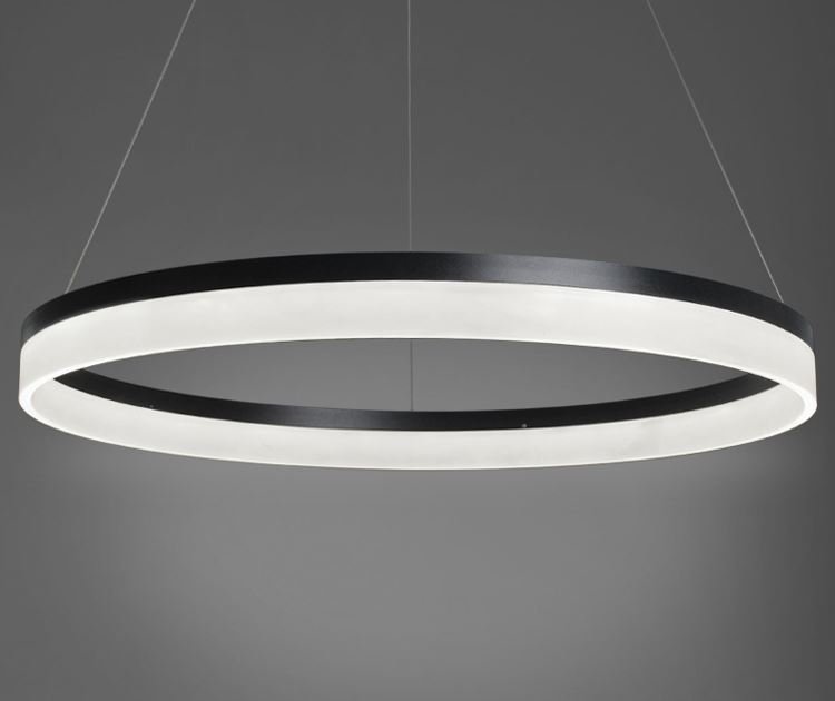 Olaug Modern Large Single Circle Ring Ceiling Light