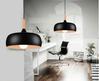 ZONIUS Pendant Light in Black - Catalogue.com.sg