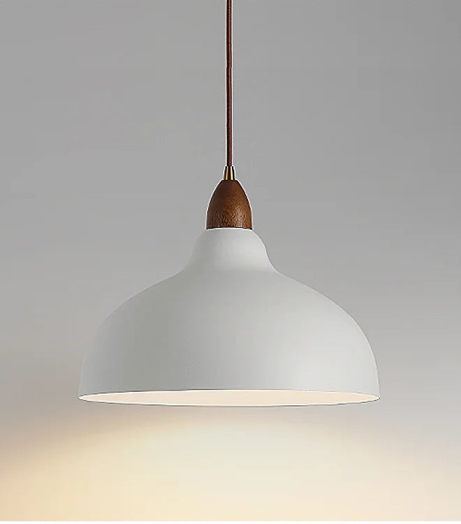 LED Simple Retro Style Decorative Pendant Light