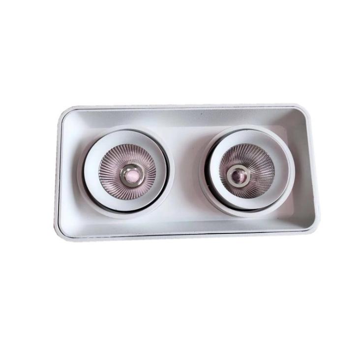 LED Surface Mounted Spot Light (SingleDual-Light)