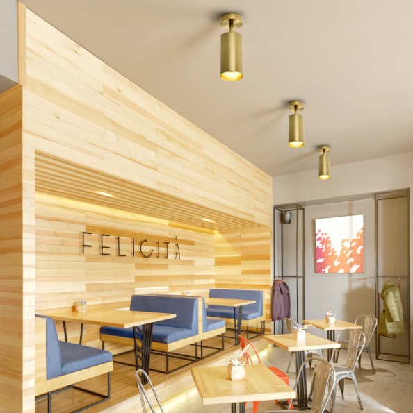 LED Modern Luxury Design Track/Ceiling Spotlight