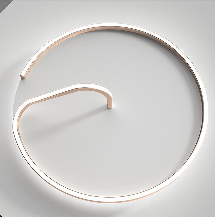 Celling Led Rope LED Modern Rope with Circle Ceiling Light – Lightingshop