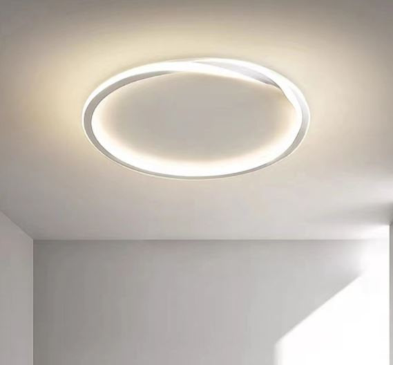 LED Spiral Minimalism Ceiling Light