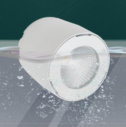 LED IP65 Surface Mounted Downlight with IP68 Driver