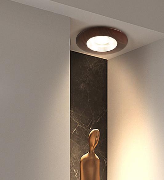 LED Recessed Modern Walnut Wood DownlightSpotlight