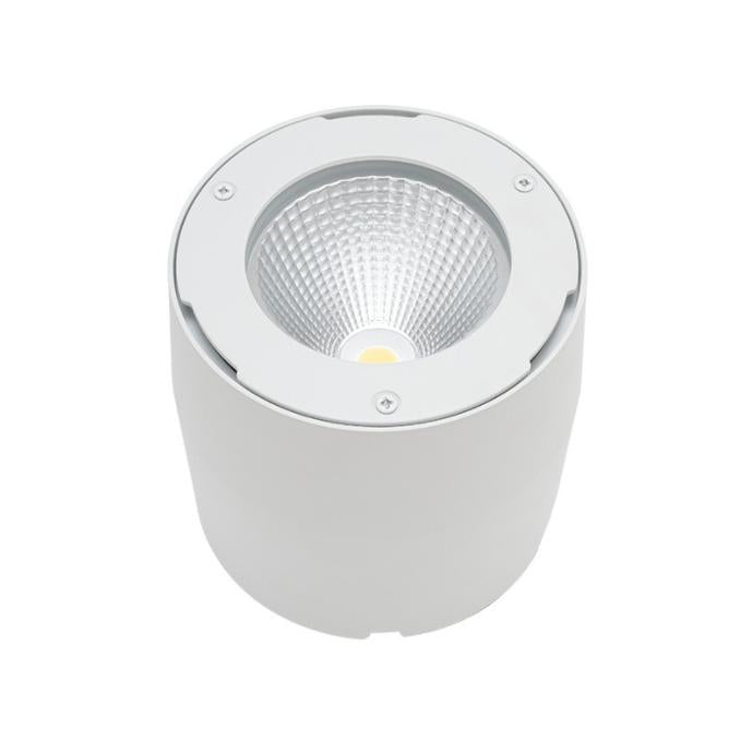 LED IP65 Surface Mounted Downlight with IP68 Driver