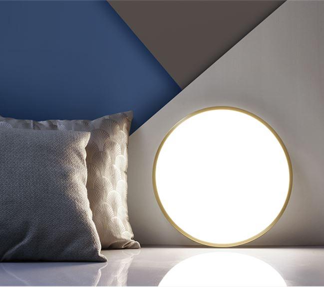 LED Modern Brass Ceiling Light
