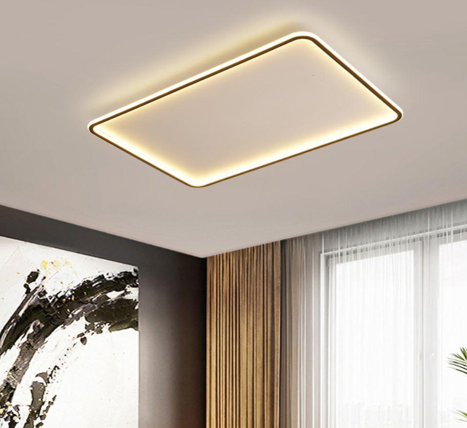 LED Simple Modern Ceiling Light Black+White