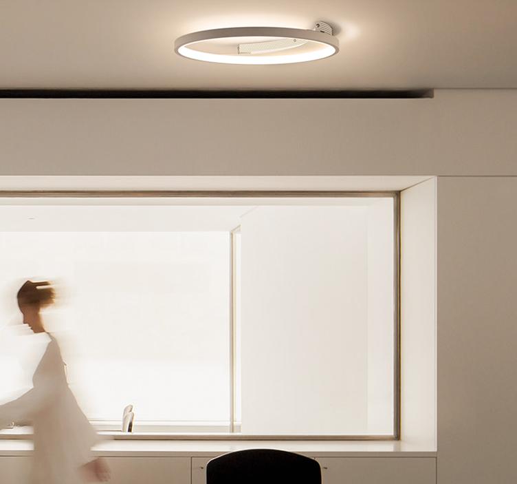 LED Mirror and Moon Simple Ceiling Light