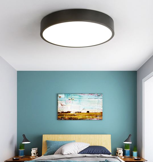 Birgitta Modern Nordic Pastel Colored Ceiling Light